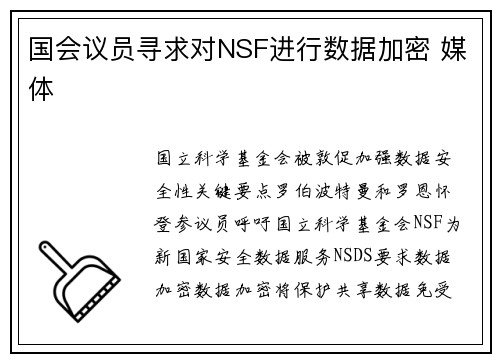 国会议员寻求对NSF进行数据加密 媒体